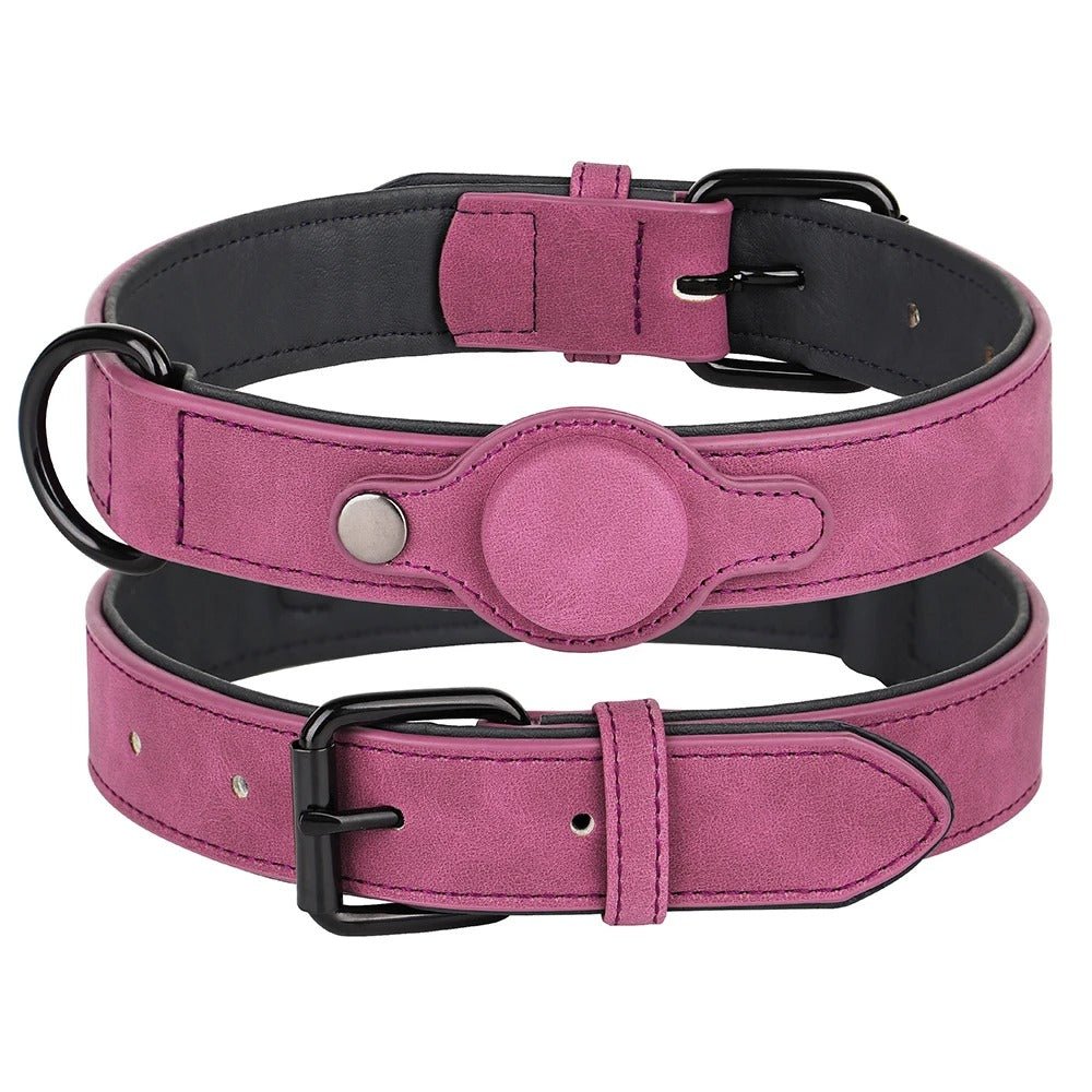 collier gps pour chien - Mon chien confortable