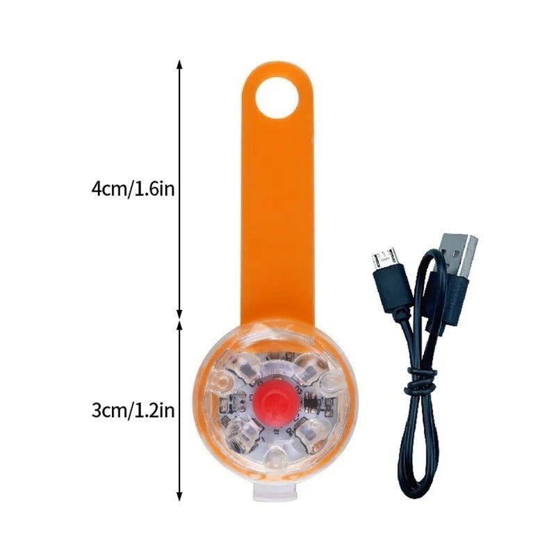 collier lumineux chien - Brillant - Mon chien confortable