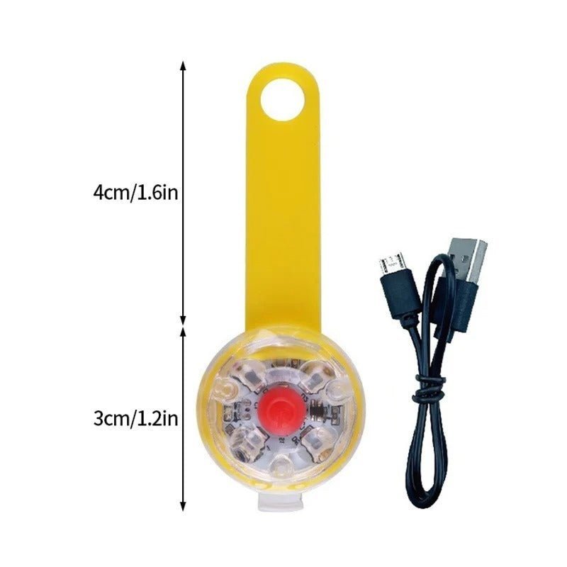 collier lumineux chien - Brillant - Mon chien confortable