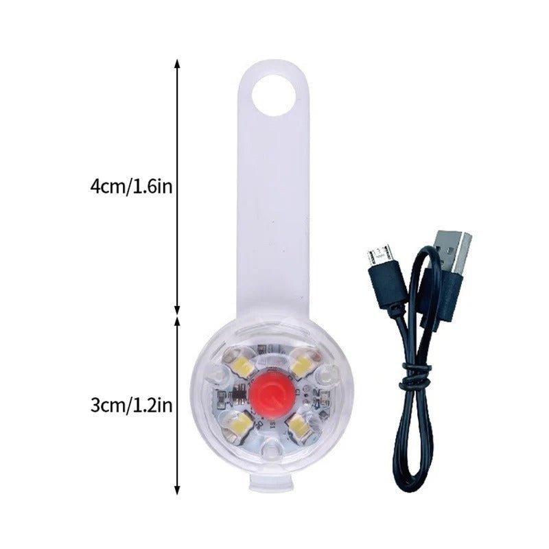 collier lumineux chien - Brillant - Mon chien confortable
