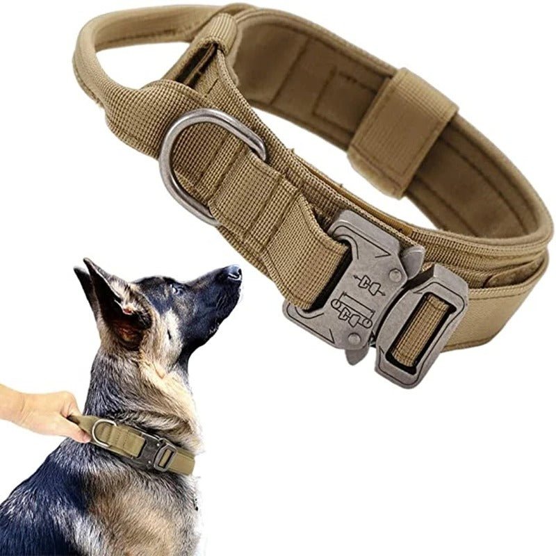 collier pour chien personnalisable - Mon chien confortable