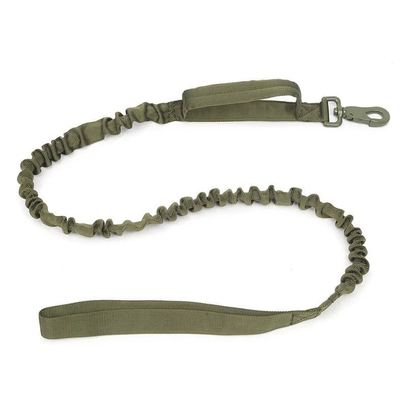 collier pour chien personnalisable - Mon chien confortable