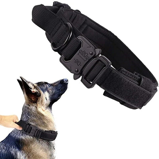 collier pour chien personnalisable - Mon chien confortable
