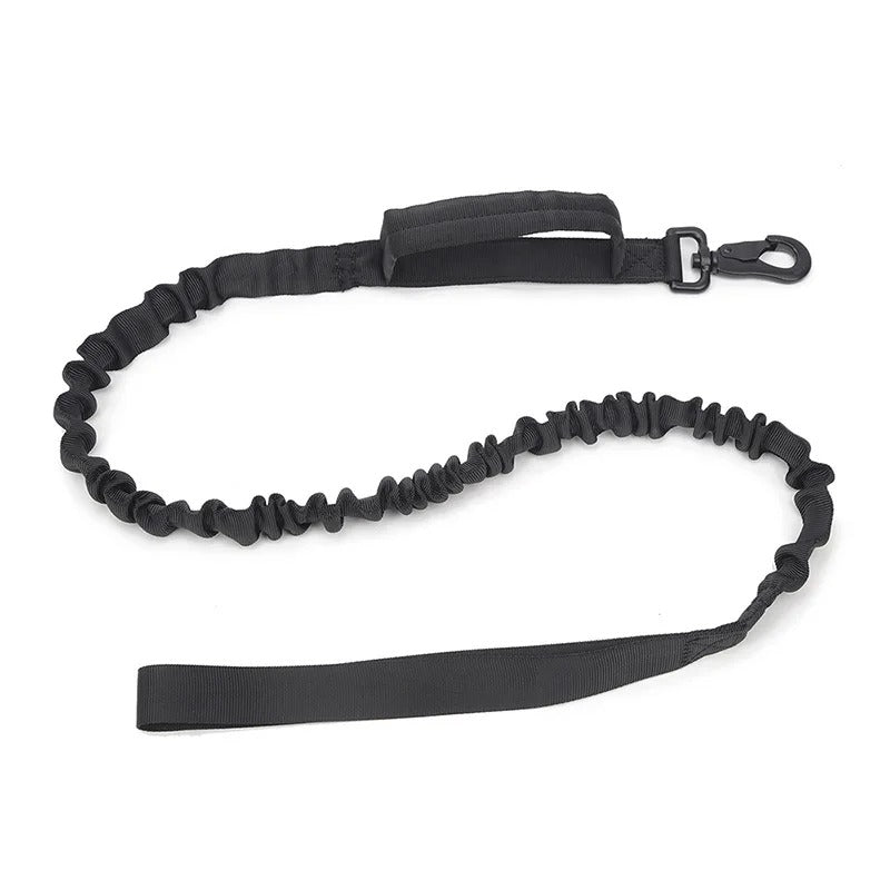 collier pour chien personnalisable - Mon chien confortable
