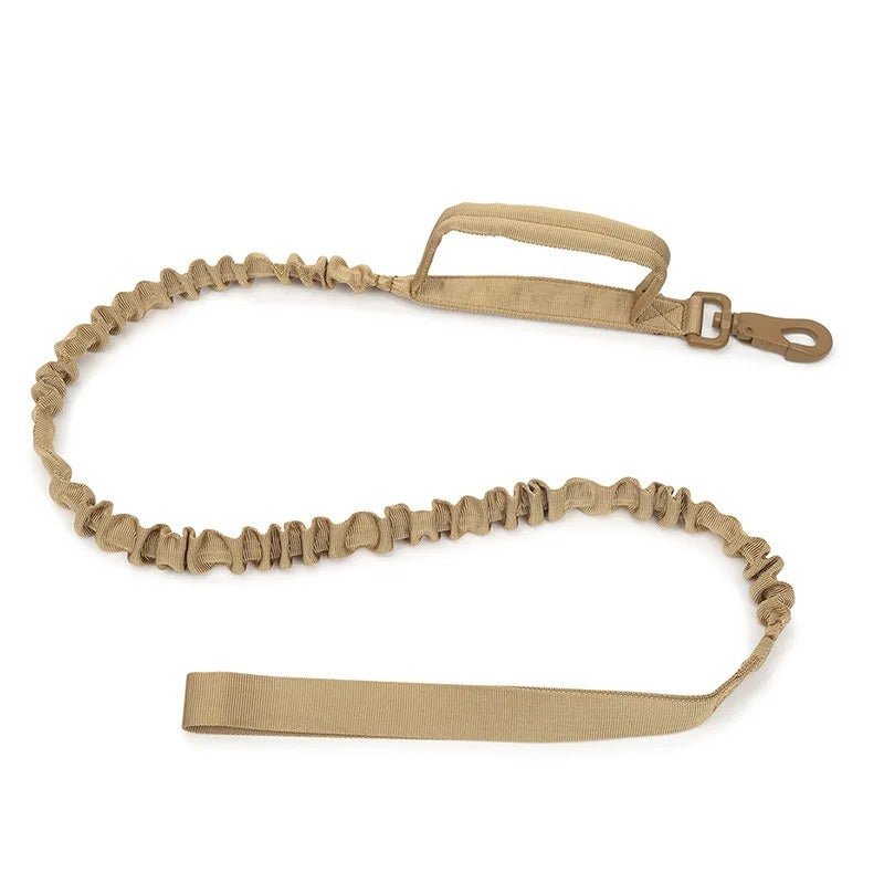 collier pour chien personnalisable - Mon chien confortable