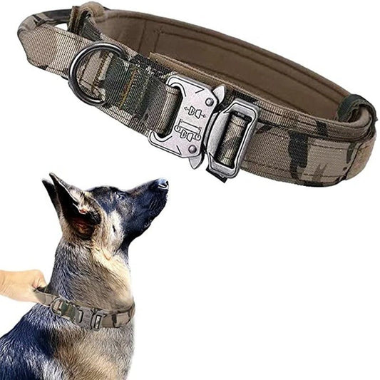 collier pour chien personnalisable - Mon chien confortable