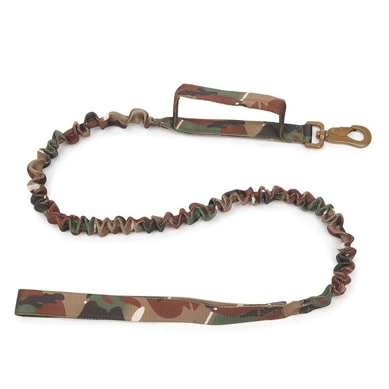 collier pour chien personnalisable - Mon chien confortable