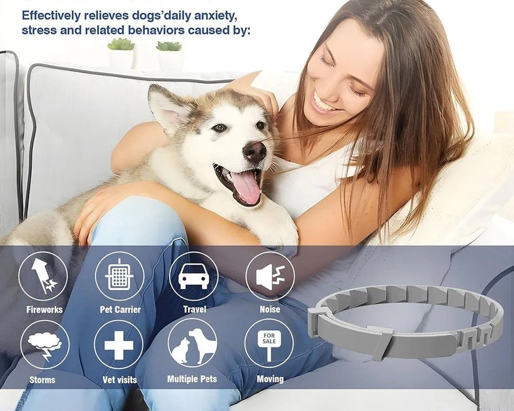 collier seresto chien - Mon chien confortable