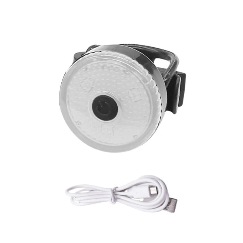 Colliers lumineux pour chien - Brillant - Mon chien confortable