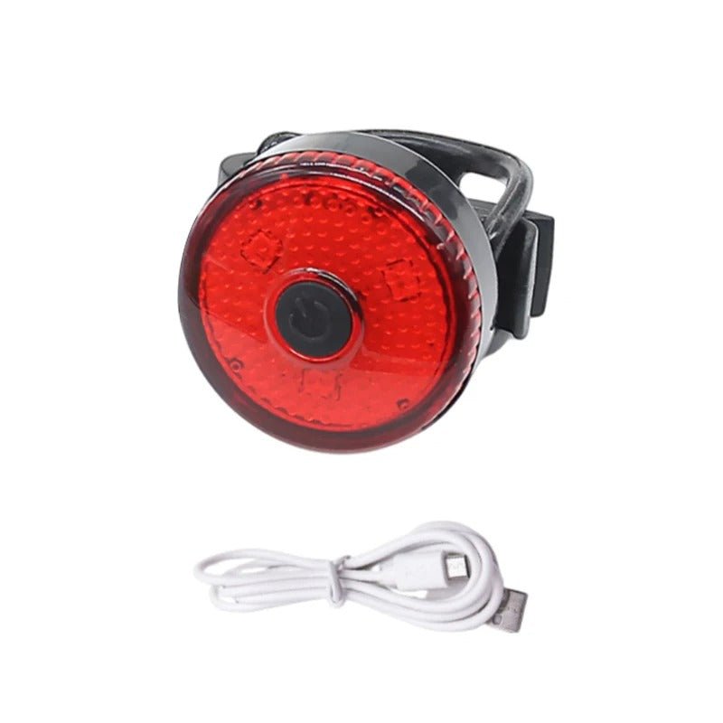 Colliers lumineux pour chien - Brillant - Mon chien confortable