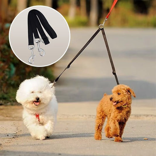 double laisse chien - Mon chien confortable