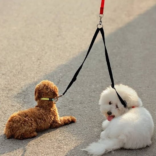 double laisse chien - Mon chien confortable