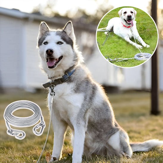 Double laisse pour chien - Mon chien confortable