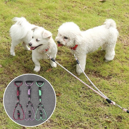 double laisse pour chien - Mon chien confortable