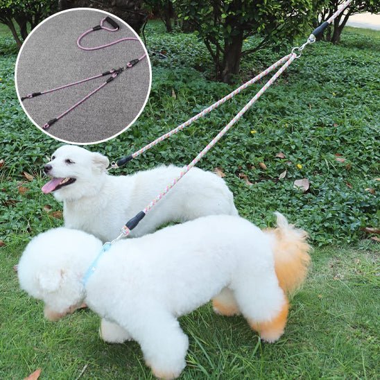 double laisse pour chien - Mon chien confortable