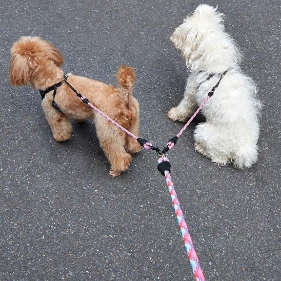 double laisse pour chien - Mon chien confortable
