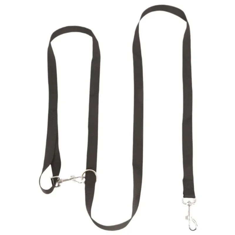Double laisse pour chien - Mon chien confortable