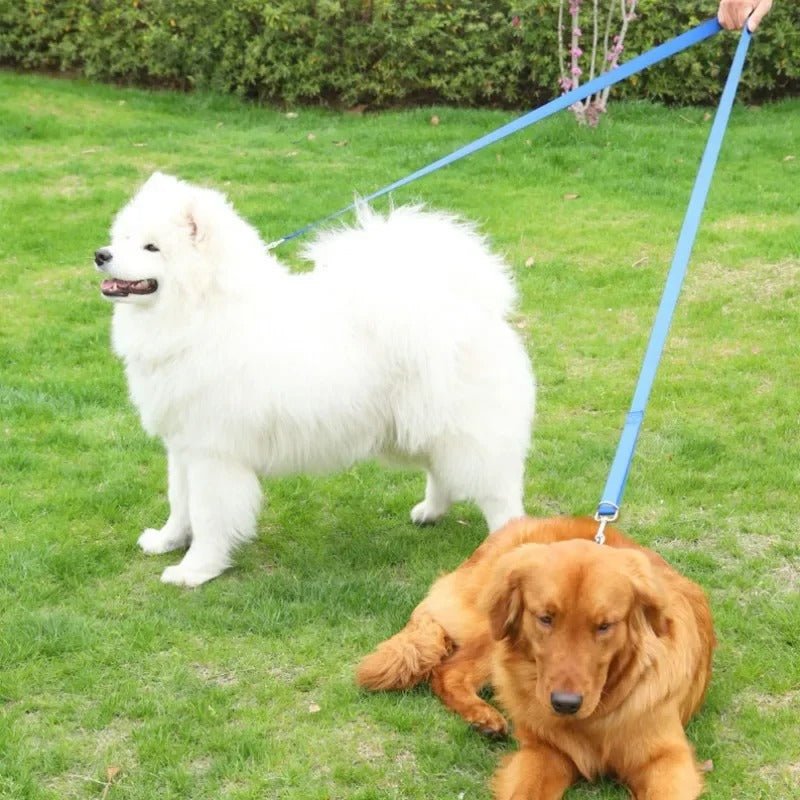 Double laisse pour chien - Mon chien confortable
