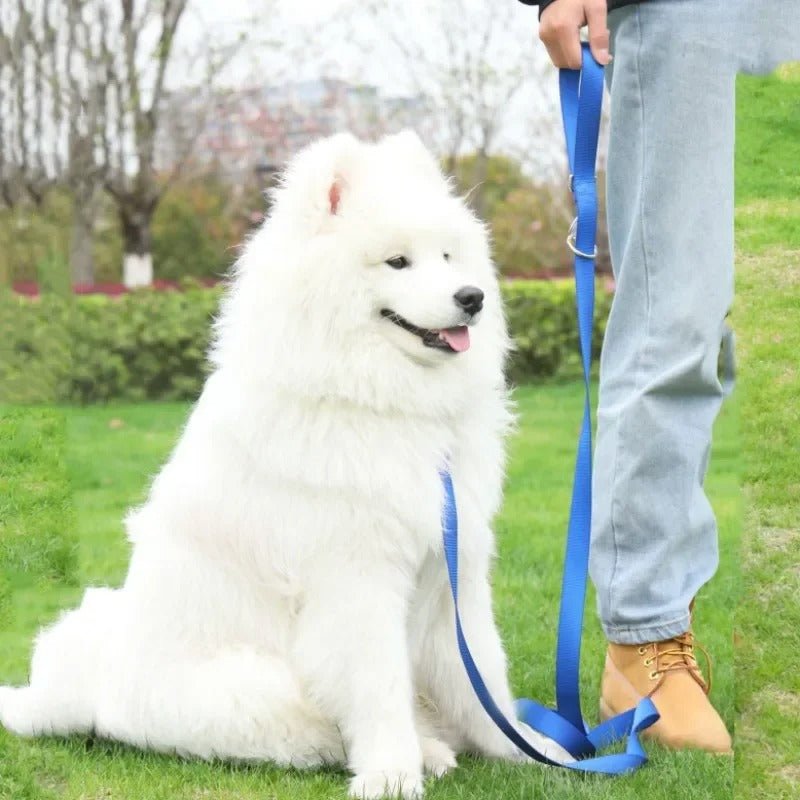 Double laisse pour chien - Mon chien confortable