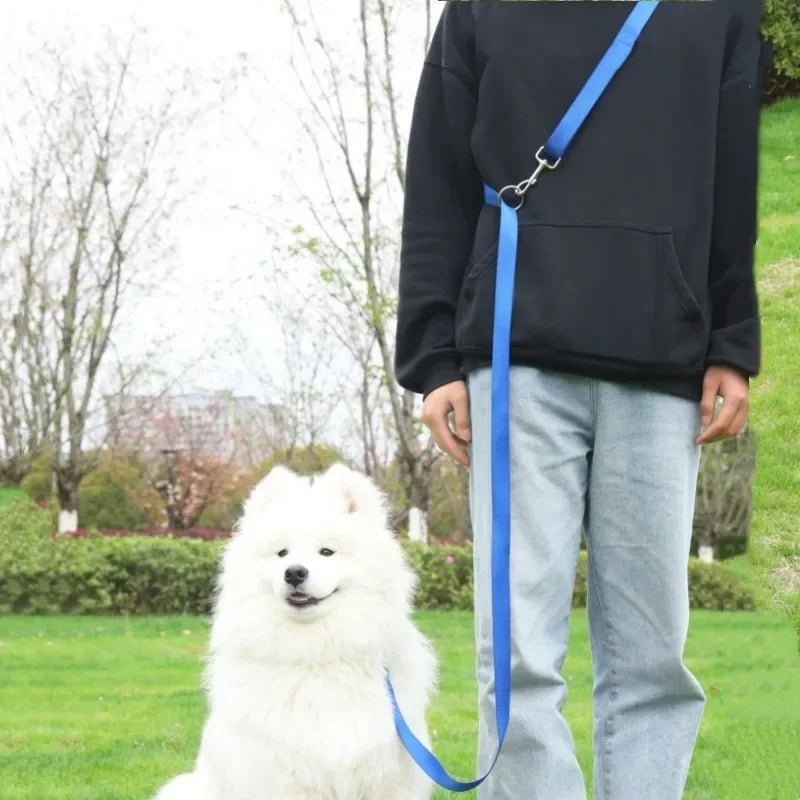 Double laisse pour chien - Mon chien confortable