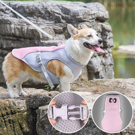 gilet de sauvetage chien - Mon chien confortable