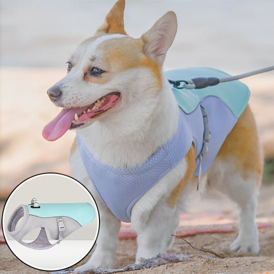 gilet de sauvetage chien - Mon chien confortable