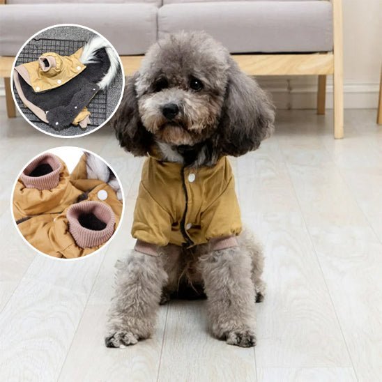 Gilet de sauvetage chien - Hiver - Mon chien confortable