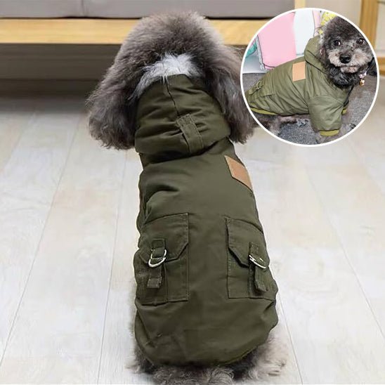 Gilet de sauvetage chien - Hiver - Mon chien confortable