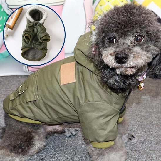 Gilet de sauvetage chien - Hiver - Mon chien confortable