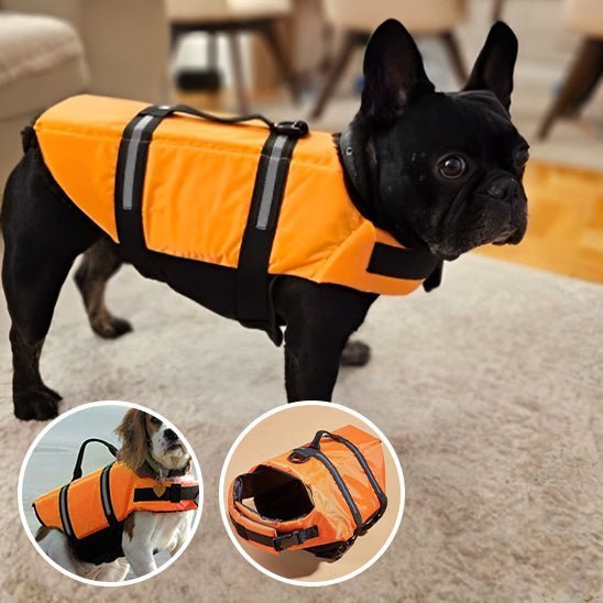 Gilet de sauvetage chiens - Mon chien confortable