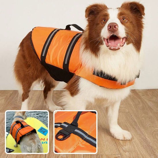 Gilet de sauvetage chiens - Mon chien confortable