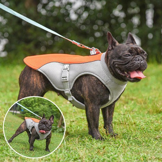 gilet de sauvetage pour chien - Mon chien confortable