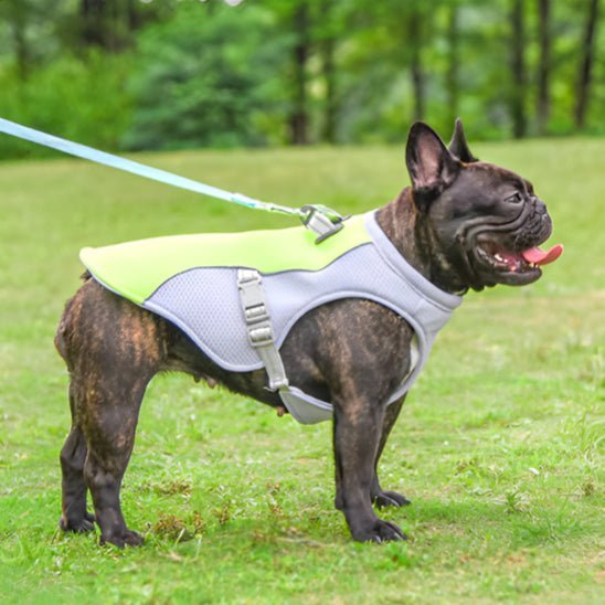 gilet de sauvetage pour chien - Mon chien confortable
