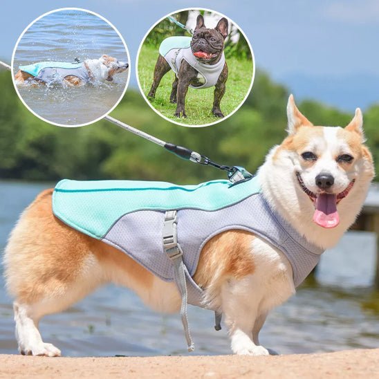 gilet de sauvetage pour chien - Mon chien confortable