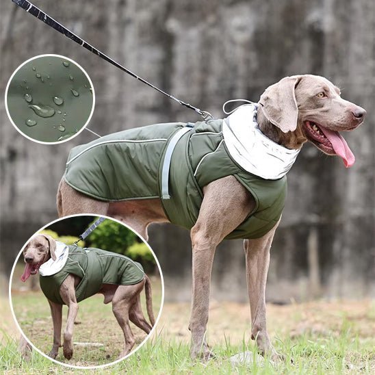 Gilet de sauvetage pour chien - Hiver - Mon chien confortable