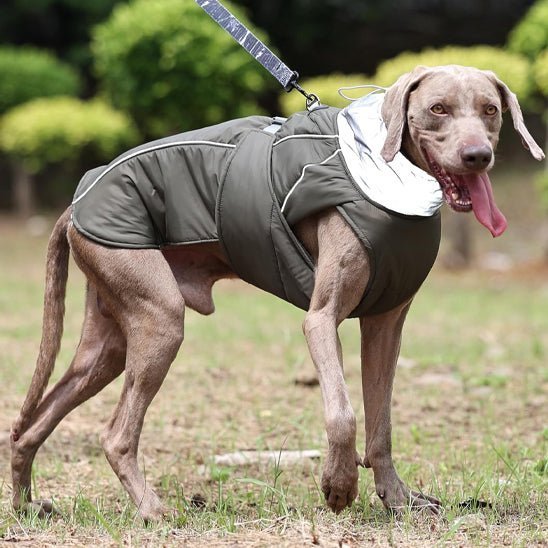 Gilet de sauvetage pour chien - Hiver - Mon chien confortable