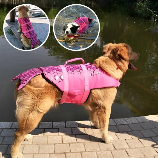 Gilet sauvetage chien - Mon chien confortable