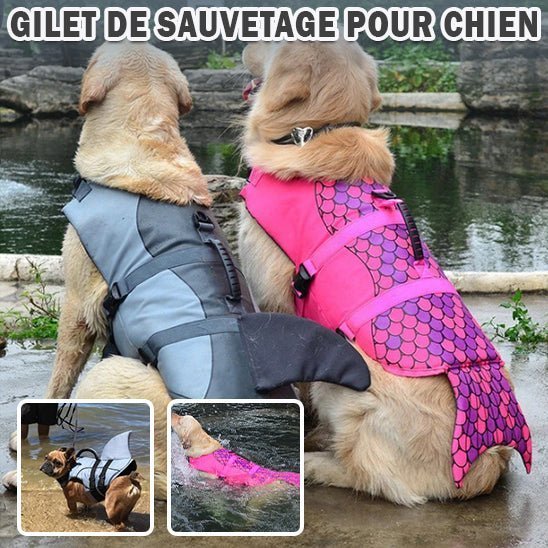 Gilet sauvetage chien - Mon chien confortable