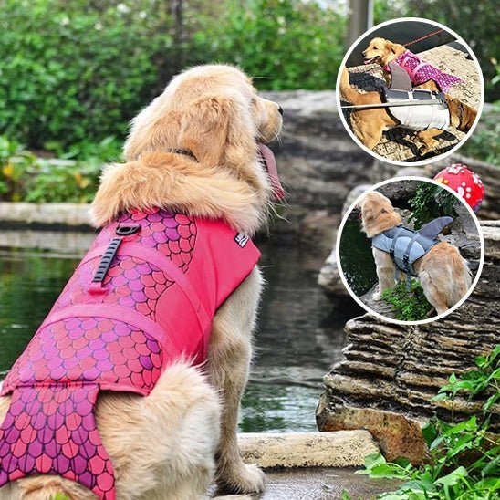 Gilet sauvetage chien - Mon chien confortable