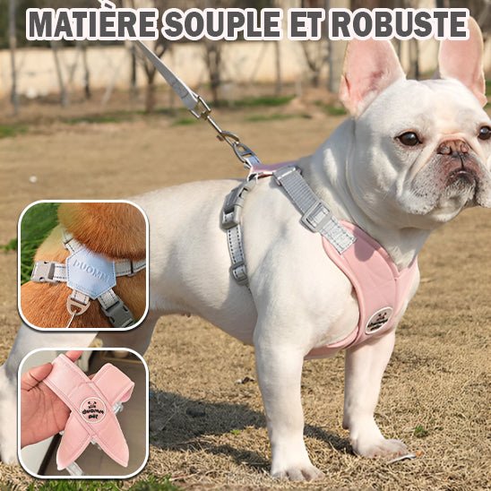 harnais anti - traction - Mon chien confortable
