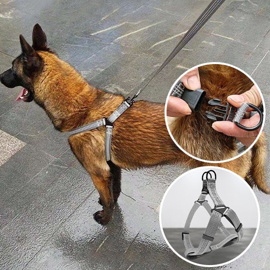 harnais anti traction - Mon chien confortable