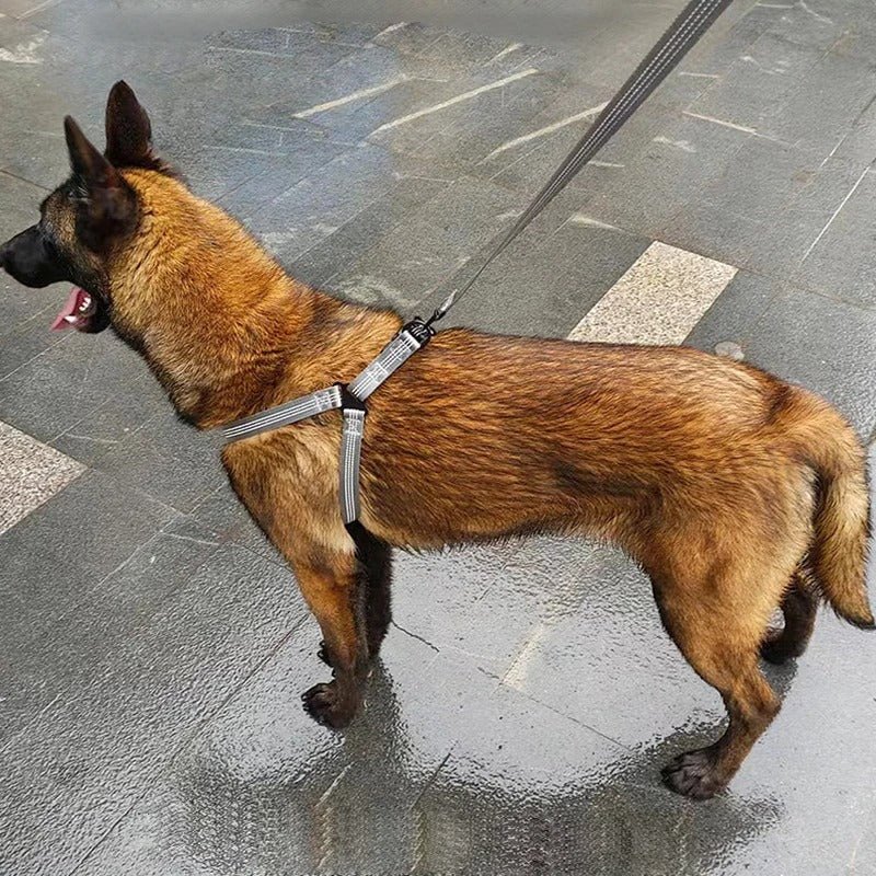 harnais anti traction - Mon chien confortable