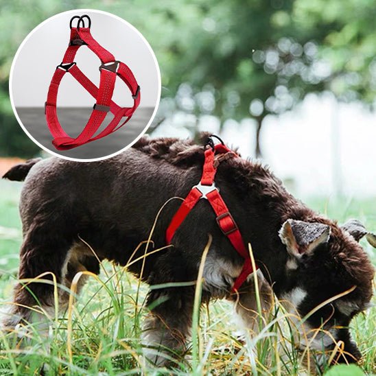 harnais anti traction - Mon chien confortable