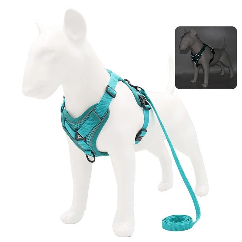 harnais anti traction pour chien - Mon chien confortable