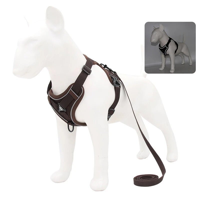 harnais anti traction pour chien - Mon chien confortable
