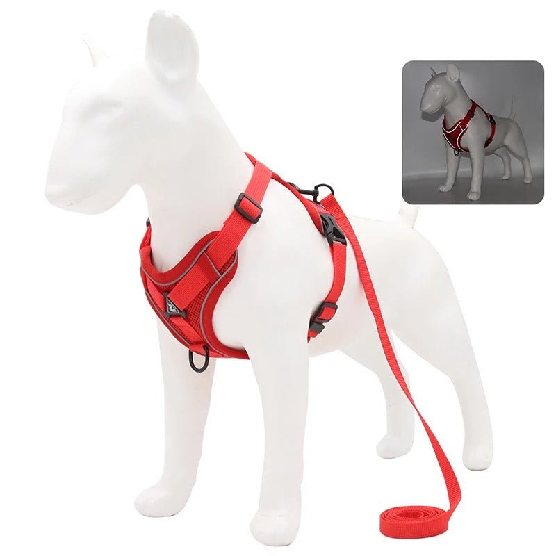 harnais anti traction pour chien - Mon chien confortable