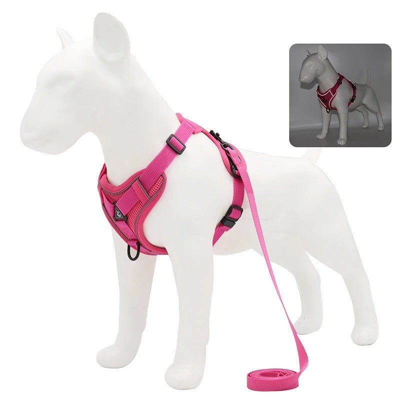 harnais anti traction pour chien - Mon chien confortable