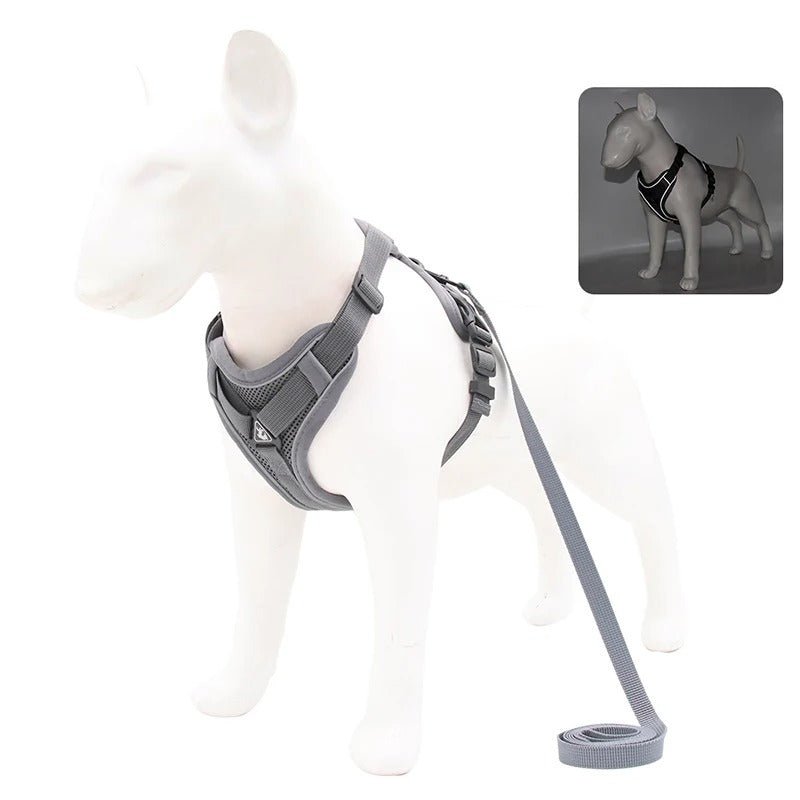 harnais anti traction pour chien - Mon chien confortable