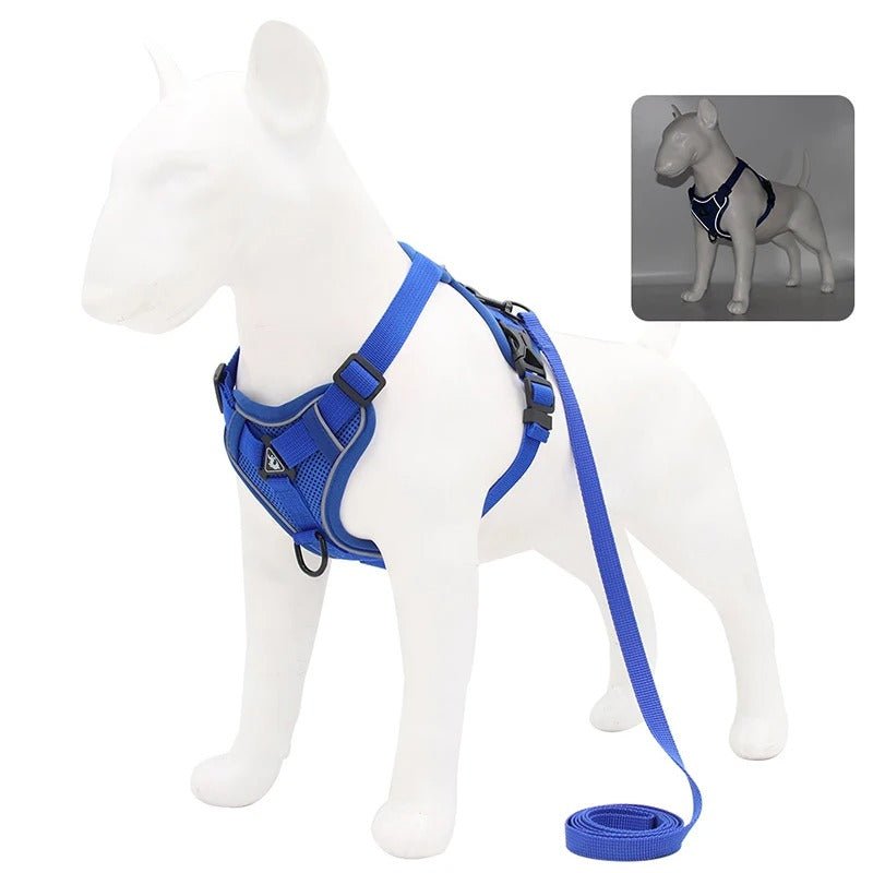 harnais anti traction pour chien - Mon chien confortable