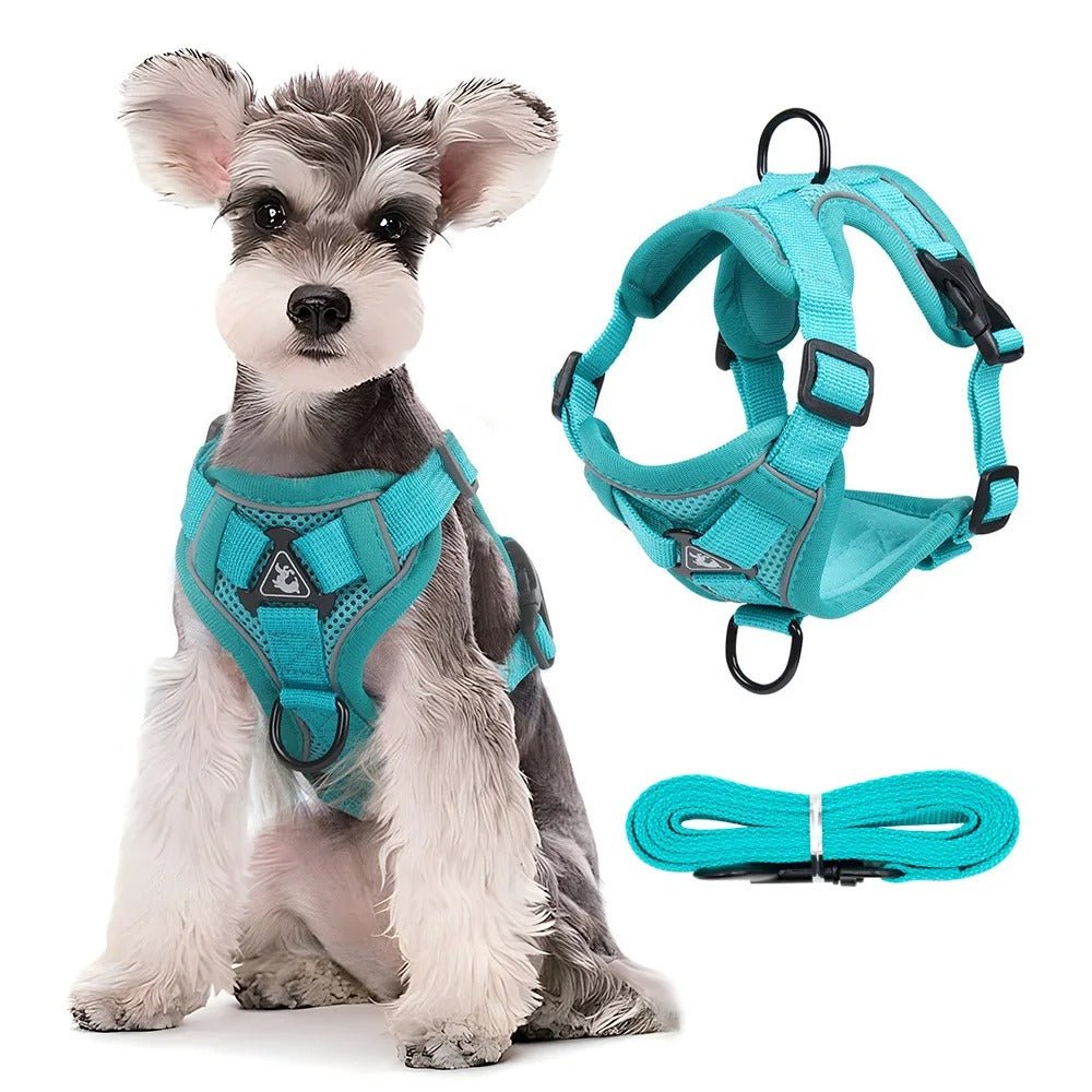 harnais anti traction pour chien - Mon chien confortable